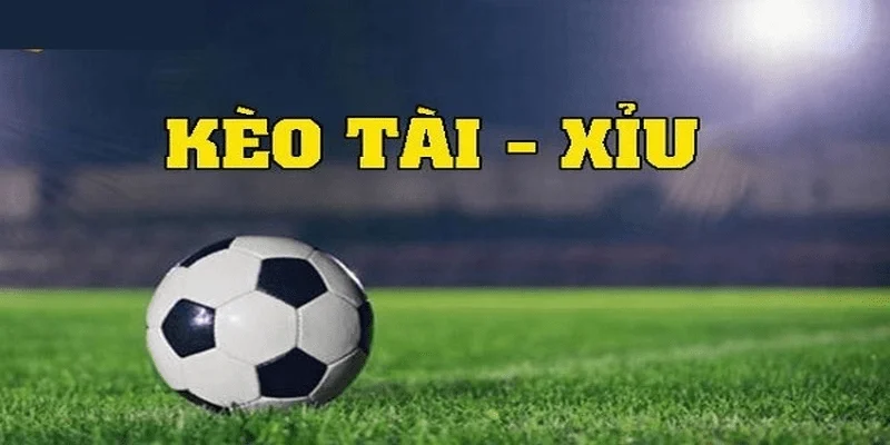 Cách đọc kèo bóng đá tài xỉu Cakhia chuẩn xác nhất 2025