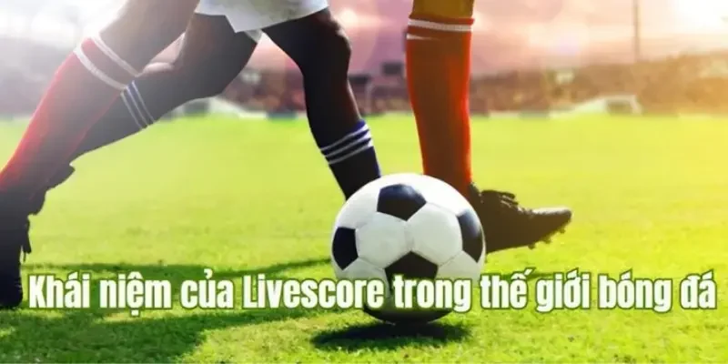 Livescore Các tính năng nổi bật của Livescore Cakhia
