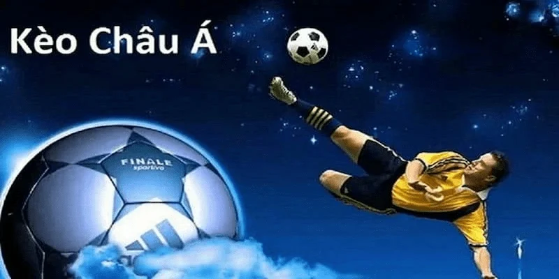 Cá cược thể thao kèo châu Á Các yếu tố ảnh hưởng đến cá cược thể thao kèo châu Á