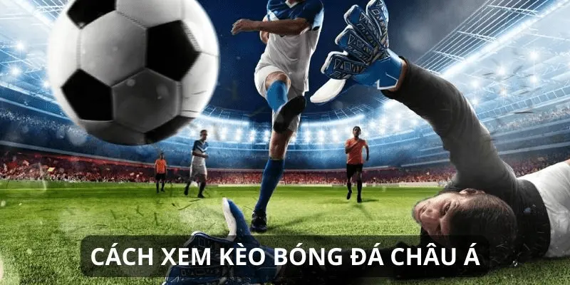 Cách đọc kèo bóng đá chi tiết tại Cakhia