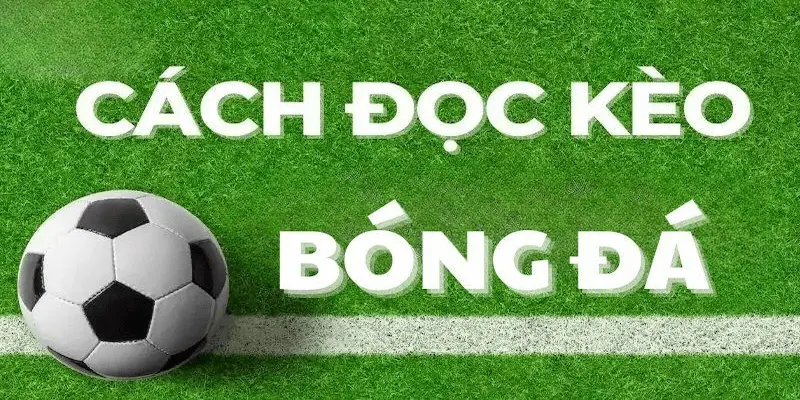 Cách đọc kèo bóng đá Cakhia chuẩn xác cho người chơi mới