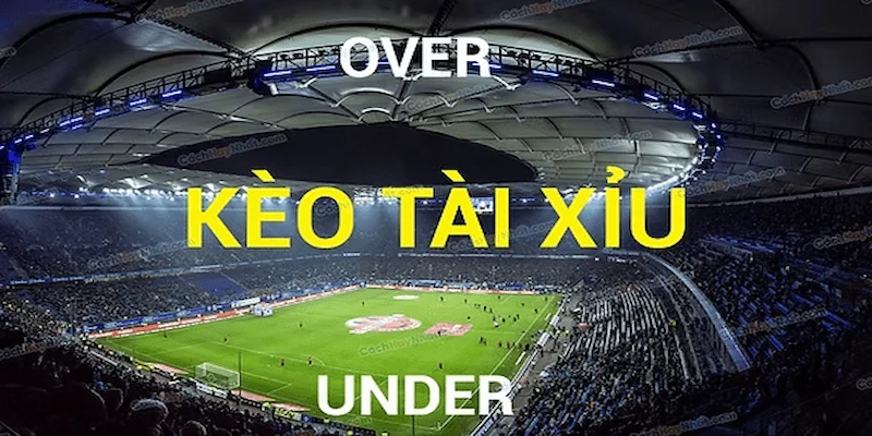 Cách đọc kèo bóng đá tài xỉu Tổng quan về kèo bóng đá tài xỉu
